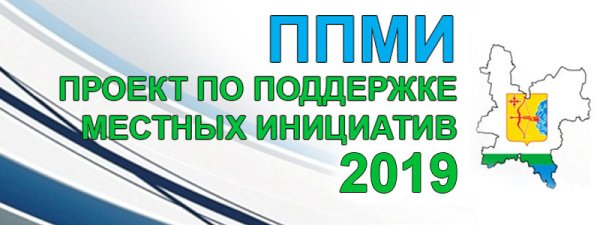 ППМИ 2019