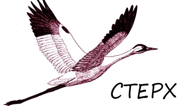 Стерх логотип