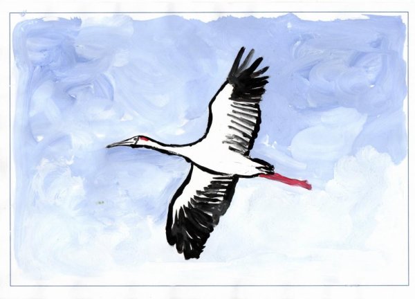 Стерх птица рисунок