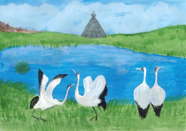 Птицы Югры рисунки