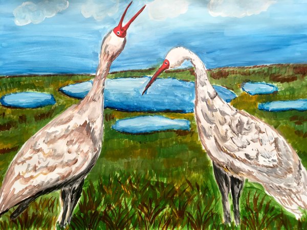 Журавль рисунок детский