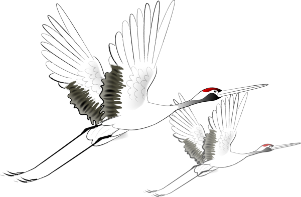 Контур журавля в полете