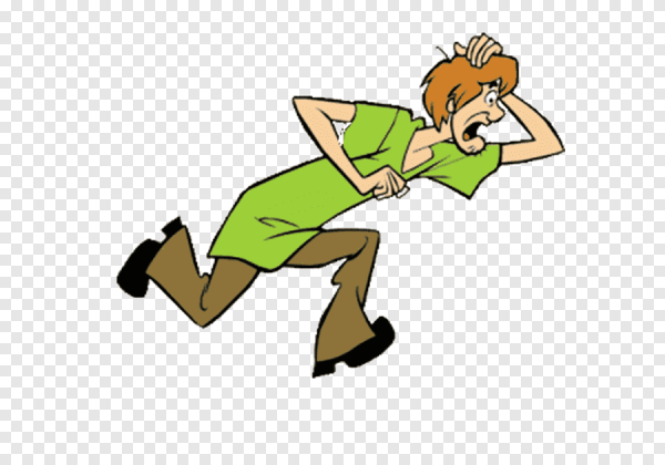 Скуби Ду бег Шегги