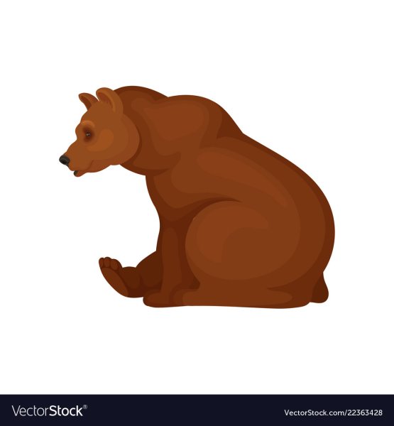 Медведь сбоку сидя
