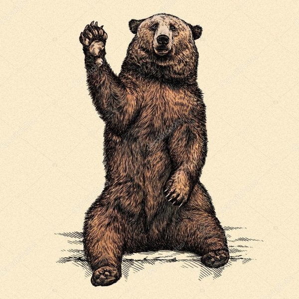 Медведь на задних лапах арт