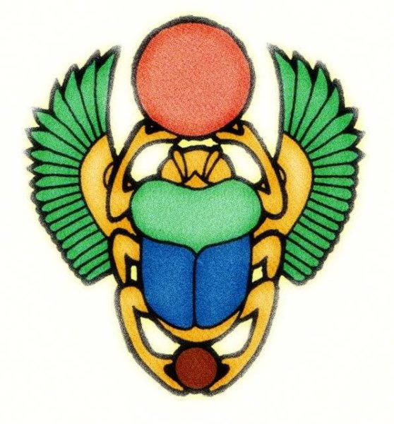 Жук скоробей раскраска