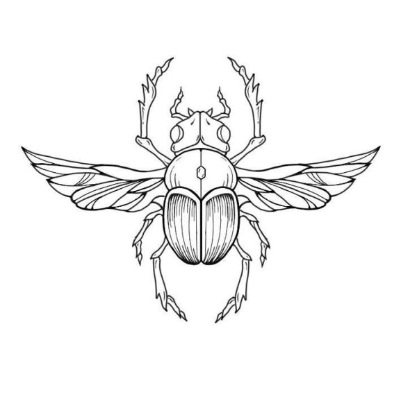 Жук скарабей символ Египта