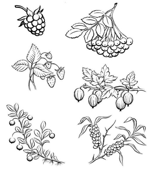 Карточки ягоды для детей