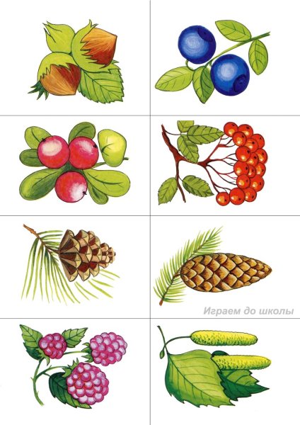 Земляника для детей