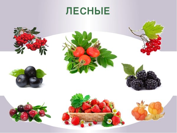 Ягоды картинки для детей