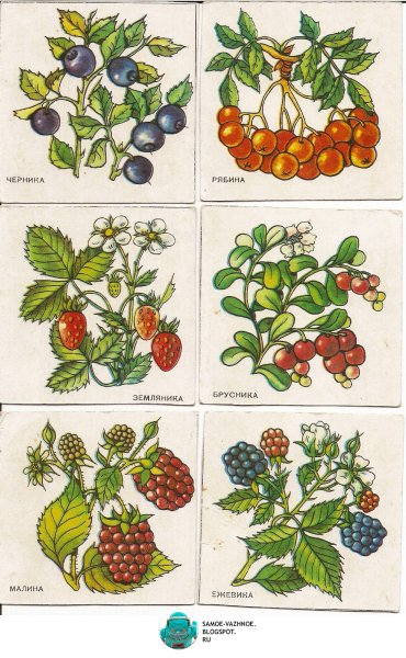 Ягоды для дошкольников