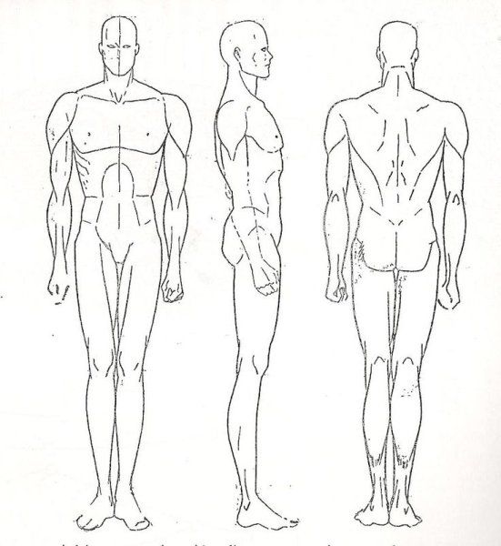 Мужская фигура для рисования