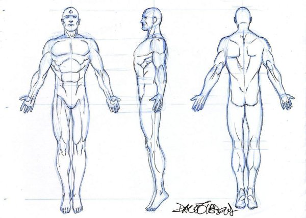 Эскиз мужского тела