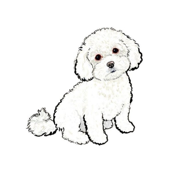 Мальтипу раскраска