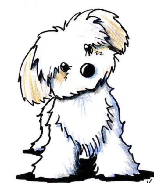 Мальтипу мультяшный