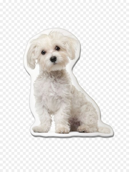 Мальтийская болонка мультяшная