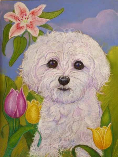 Пудель пастелью