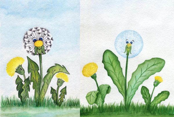 Рисование одуванчик