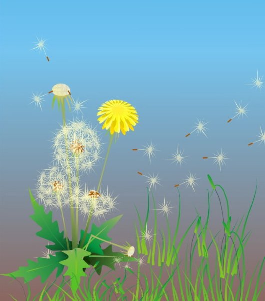 Одуванчик для детей