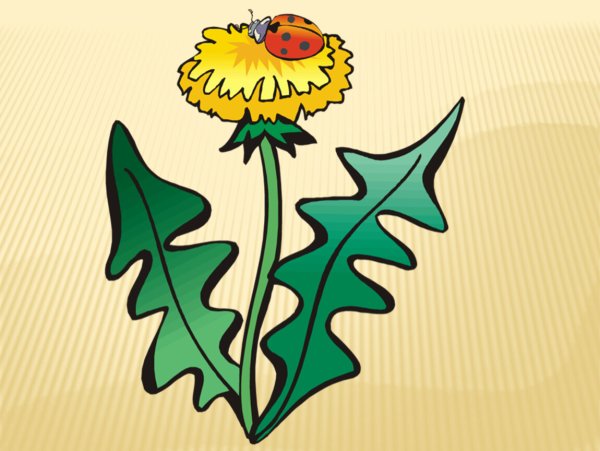 Одуванчик для детей