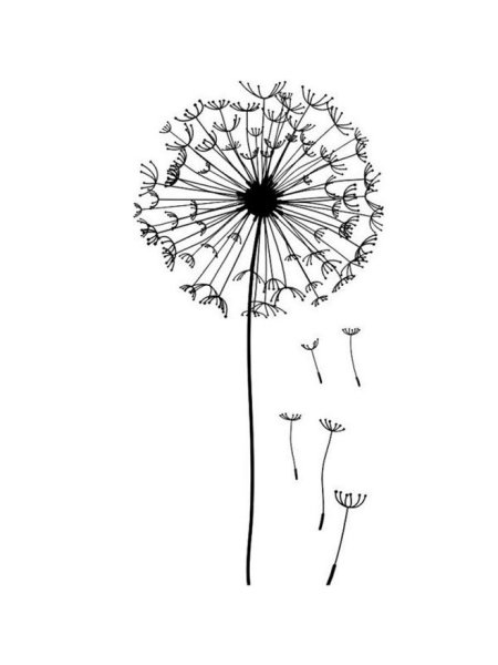 Одуванчик схематично