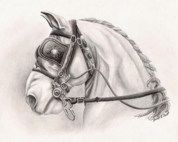 Рисунки для профи