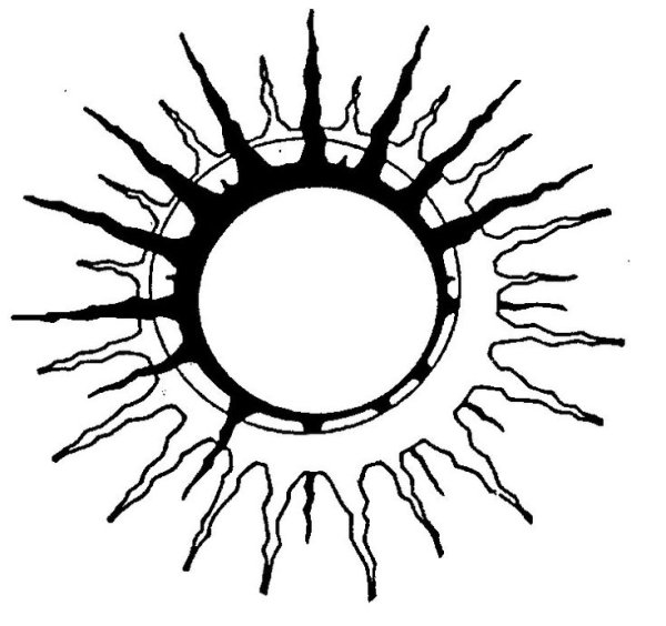 Солнце эскиз