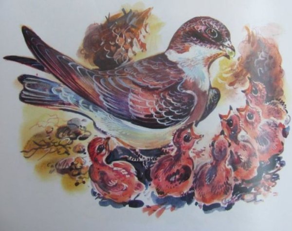 Астафьев Стрижонок