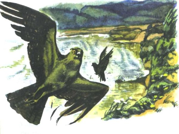 В П Астафьев Стрижонок скрип