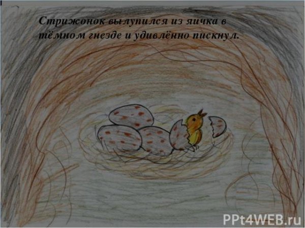 Астафьев Стрижонок скрип нарисовать