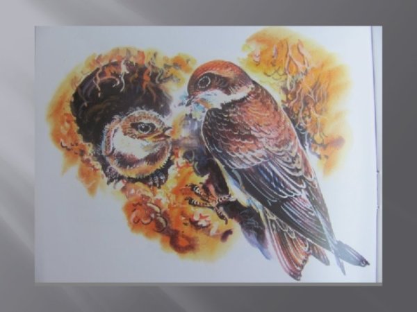 Астафьев Виктор Петрович Стрижонок скрип