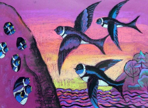 Береговушка Бианки