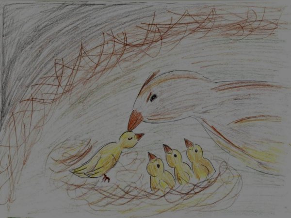 Афанасьев Стрижонок скрип