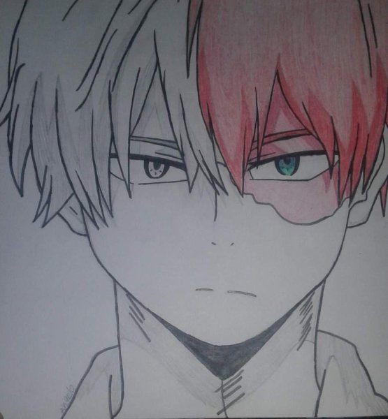 Шото Тодороки скетч