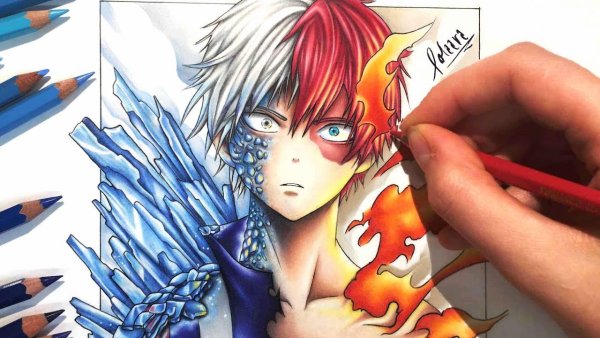 Тодороки шото неко