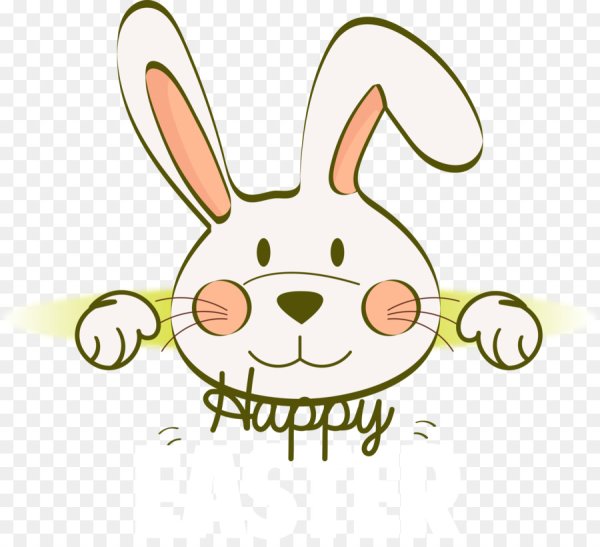 Векторный забавный заяц