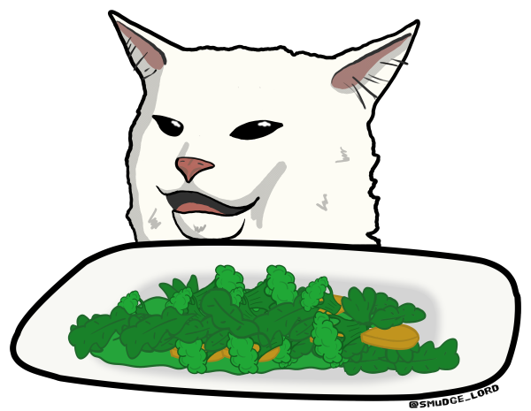 Мем с котом за столом