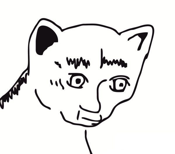 Белиссимо Мем кот