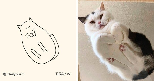 Нарисовать мемного кота