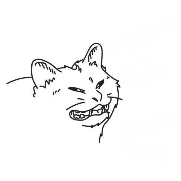 Раскраски мемы котики