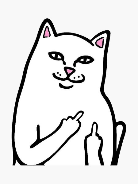 Котик рипндип