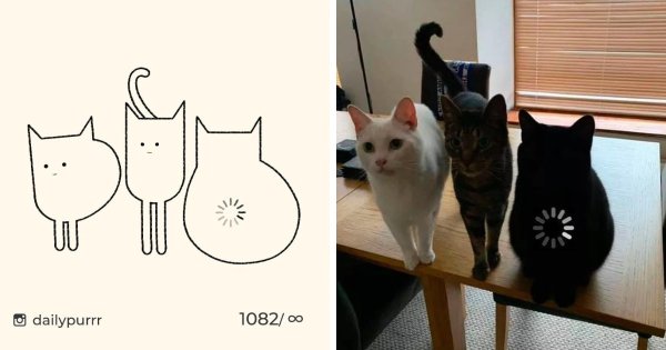 Кот художник Мем