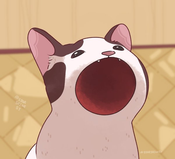 Котик с открытым ртом Мем