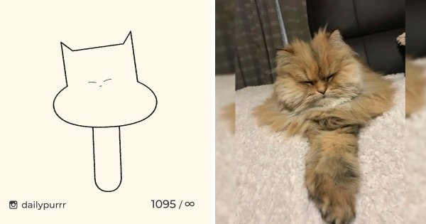 Смешные мемные коты нарисованные