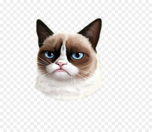 Сиамский Грампи