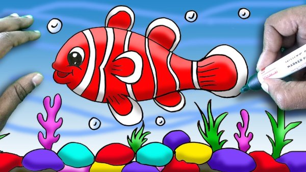 Рыбка клоун нарисовать