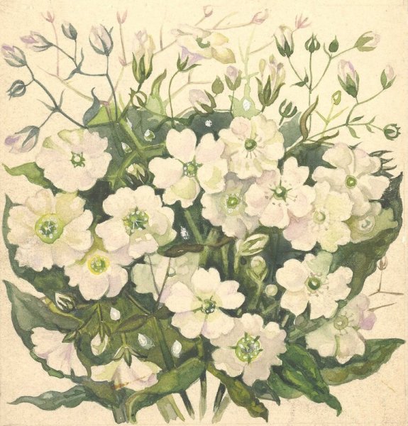 Гипсофила живопись