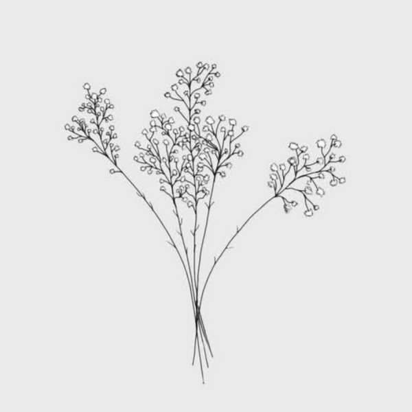 Растения Минимализм эскиз