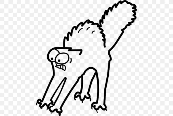 Испуганный кот