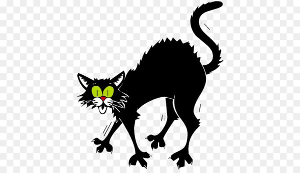 Мультяшный испуганный кот